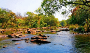 Kuruva Island
